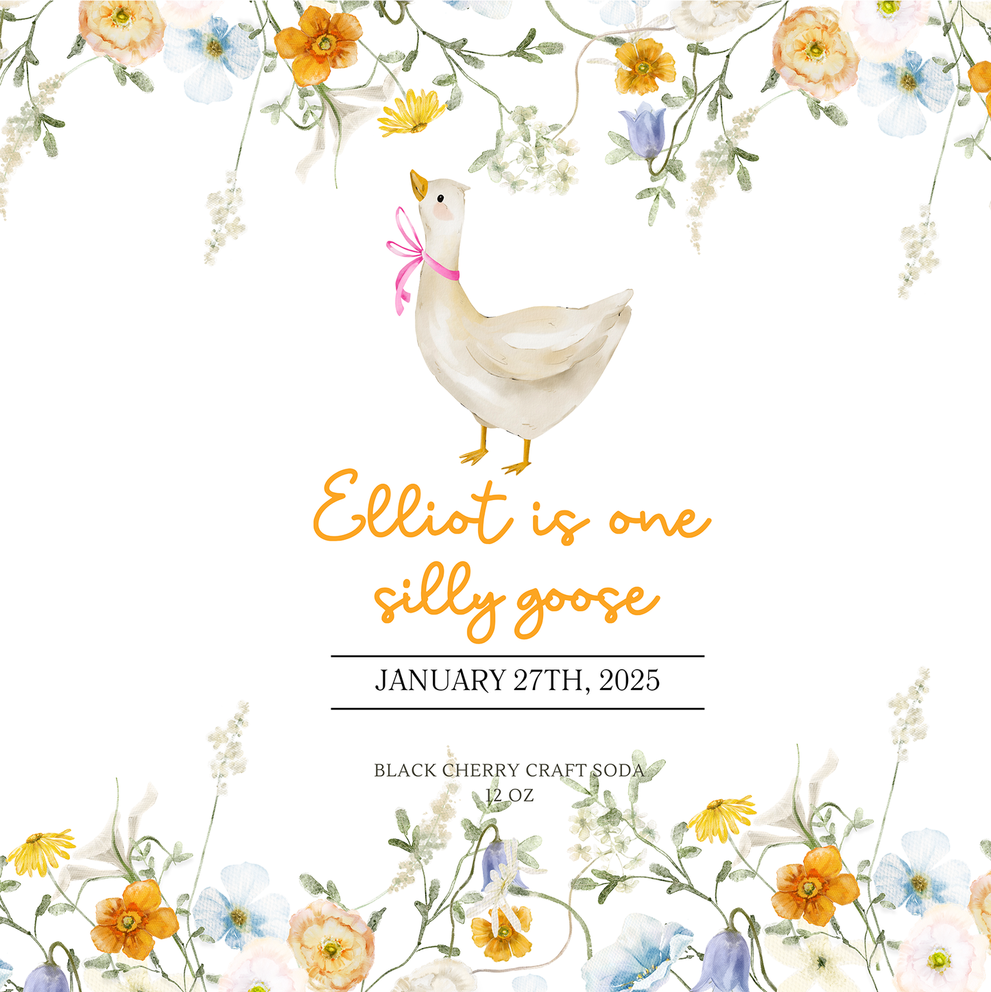 One Silly Goose First Birthay Party Beverage